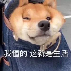 《校閱女孩》再拍被嘲？這一次服化組出來背鍋