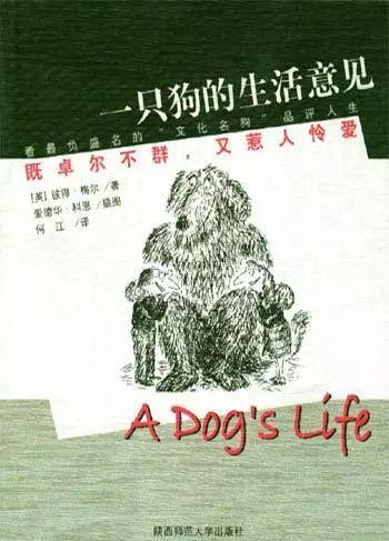 1號研究｜穿越小說高階指南（中）