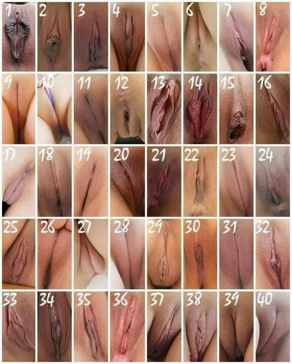 各式各樣花蝴蝶