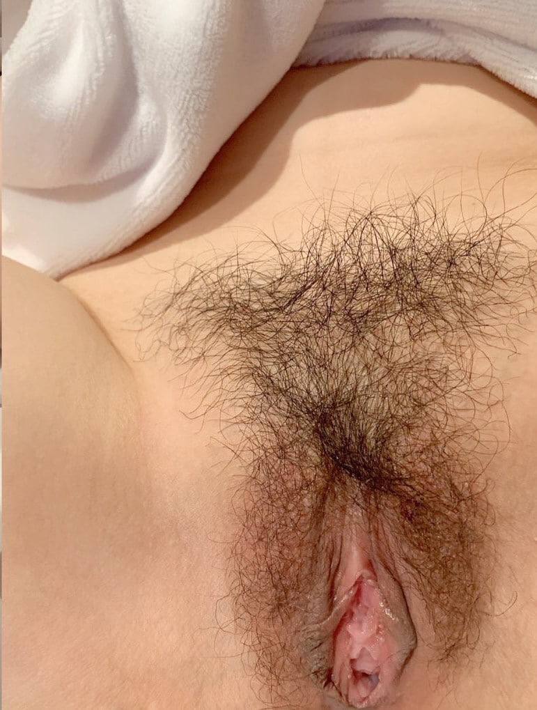 各式各樣花蝴蝶